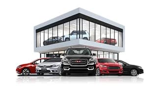 محمود زينيه