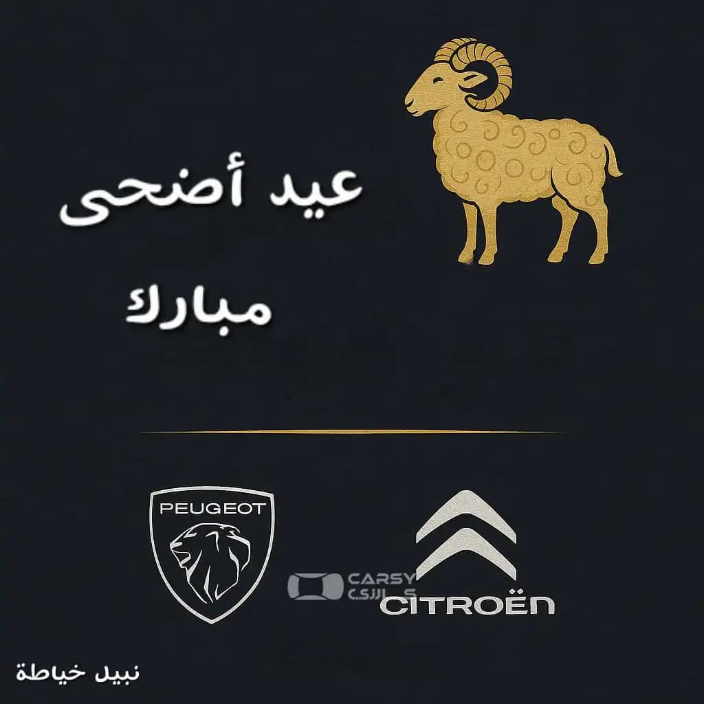قطع بيجو وشام - Image 1