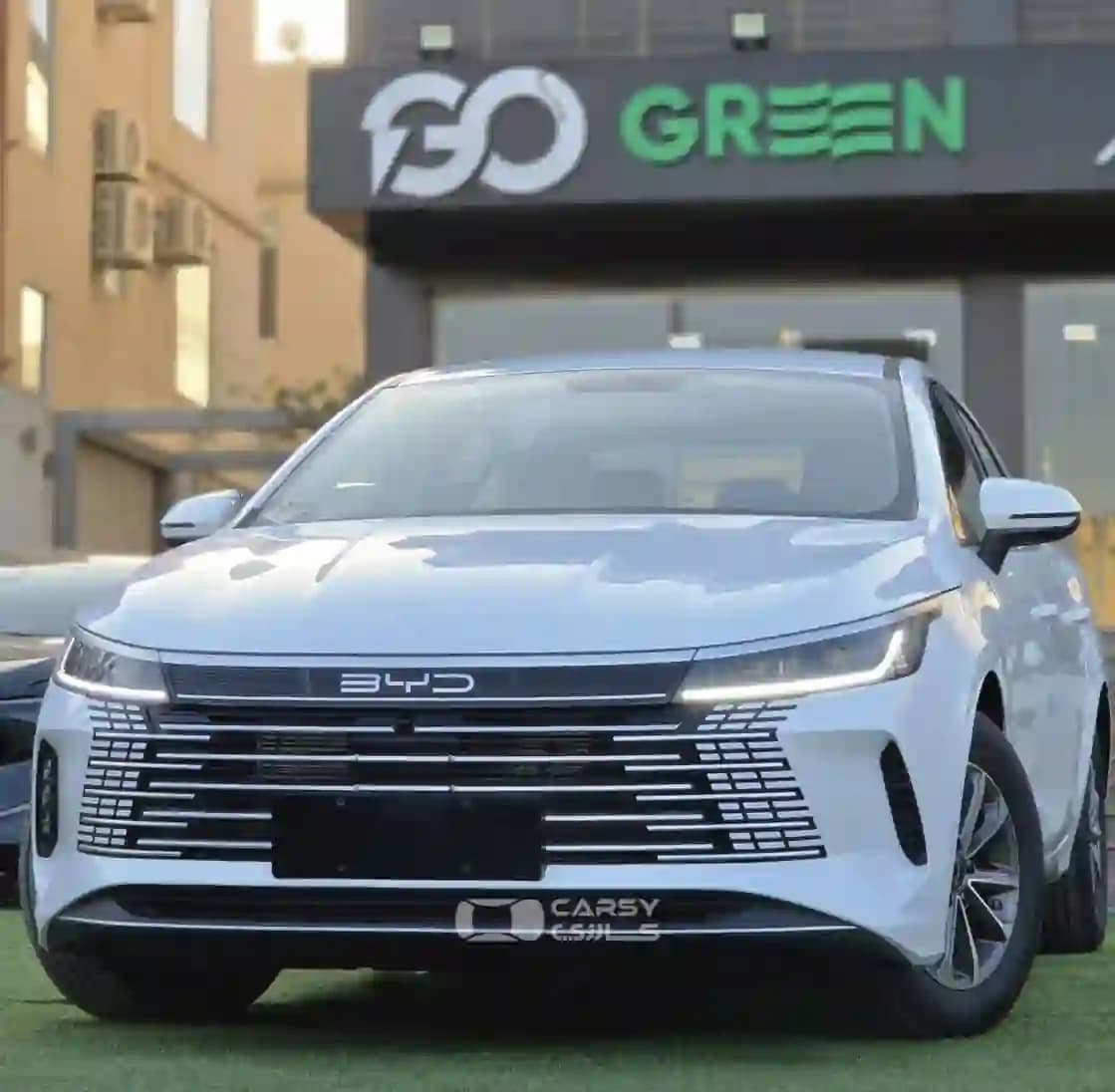 2025 بي واي دي ديستروير 05 - Image 1