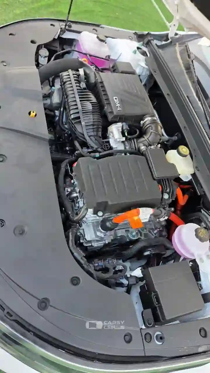 2025 بي واي دي ديستروير 05 - Image 3