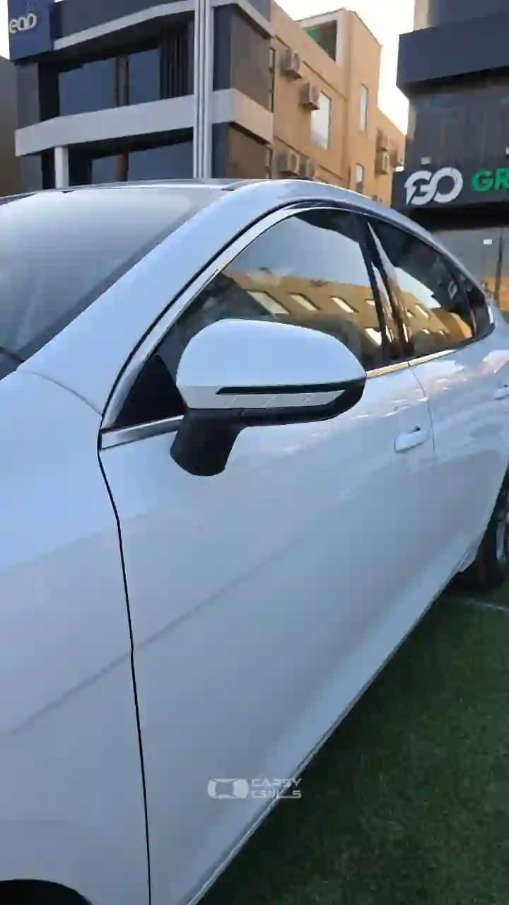 2025 بي واي دي ديستروير 05 - Image 5