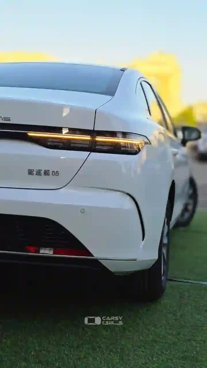 2025 بي واي دي ديستروير 05 - Image 8