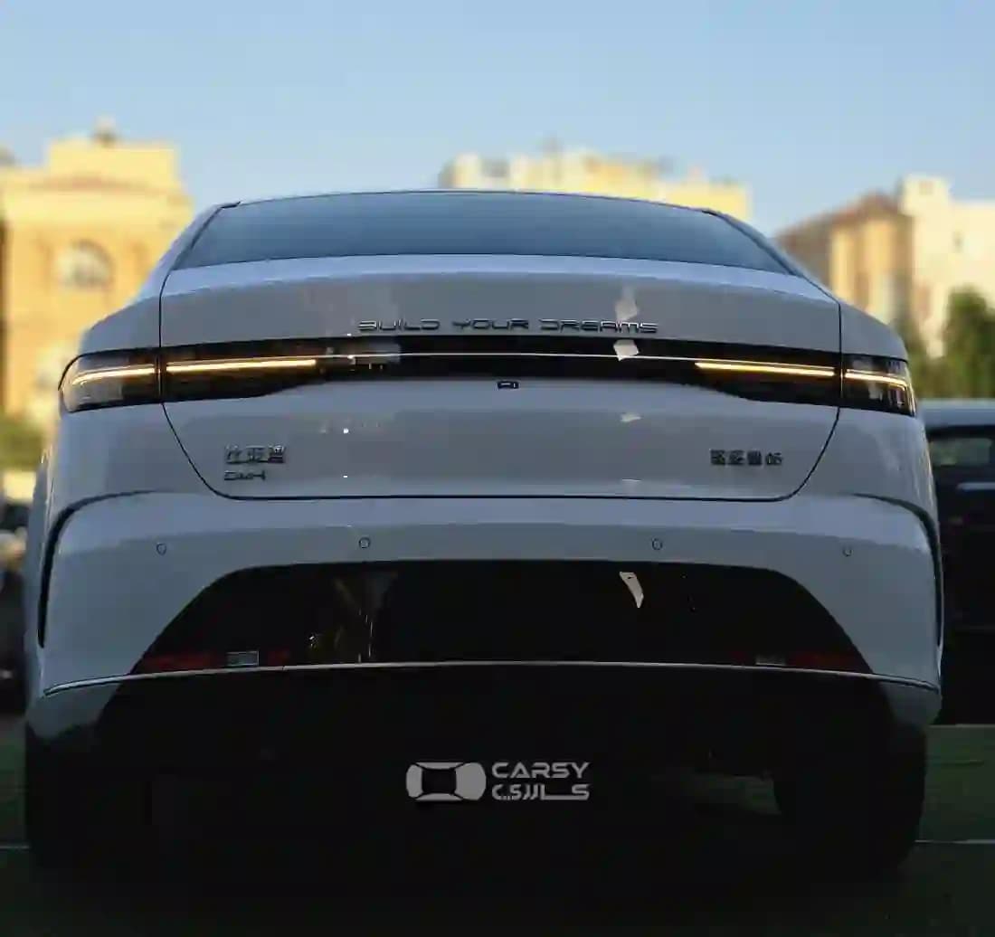 2025 بي واي دي ديستروير 05 - Image 10