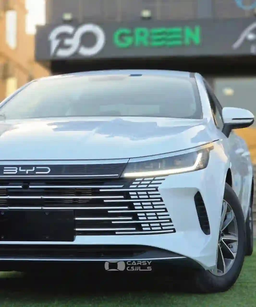 2025 بي واي دي ديستروير 05 - Image 9