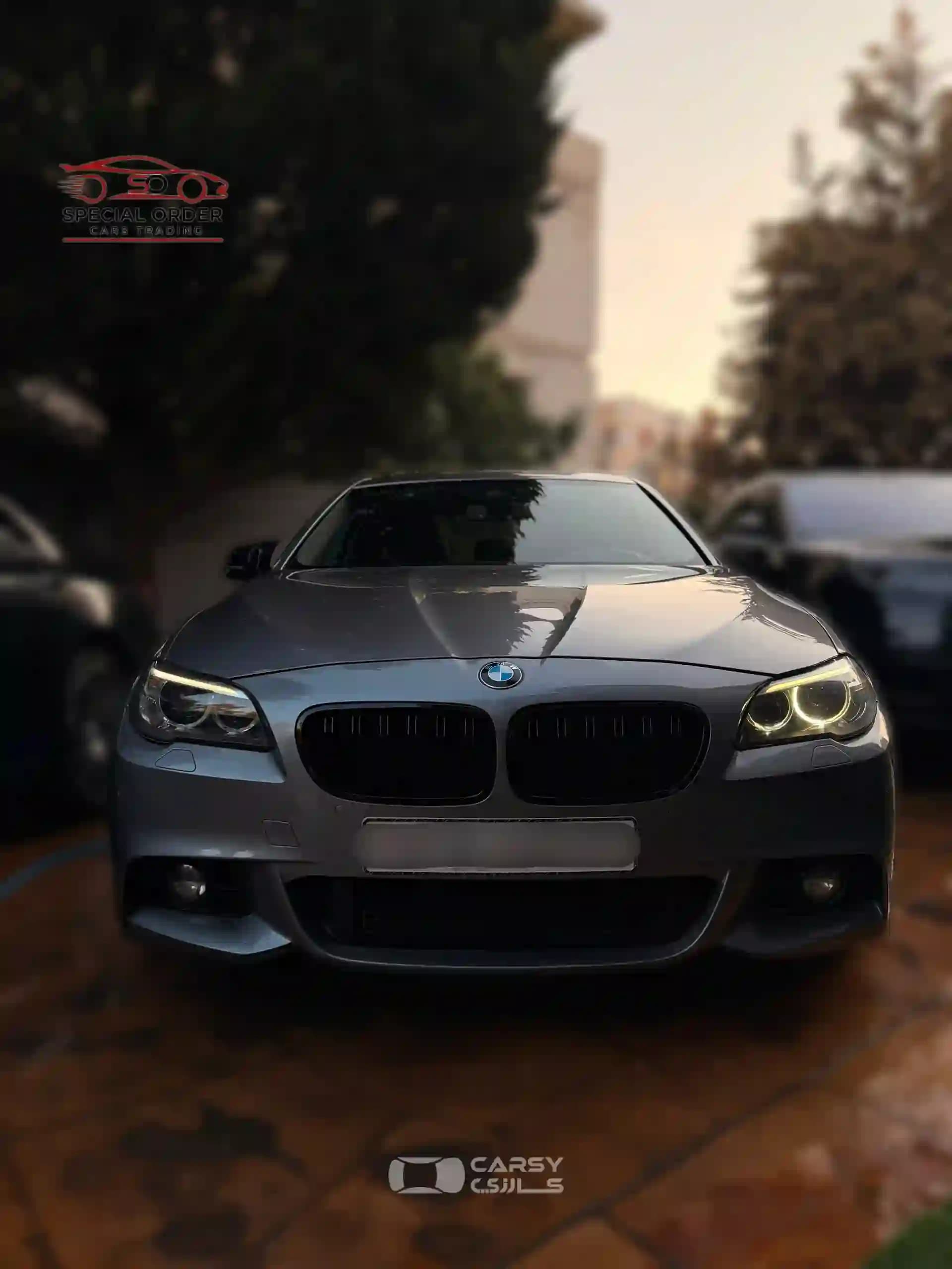 2016 بي إم دبليو SERIES 5 - Image 2