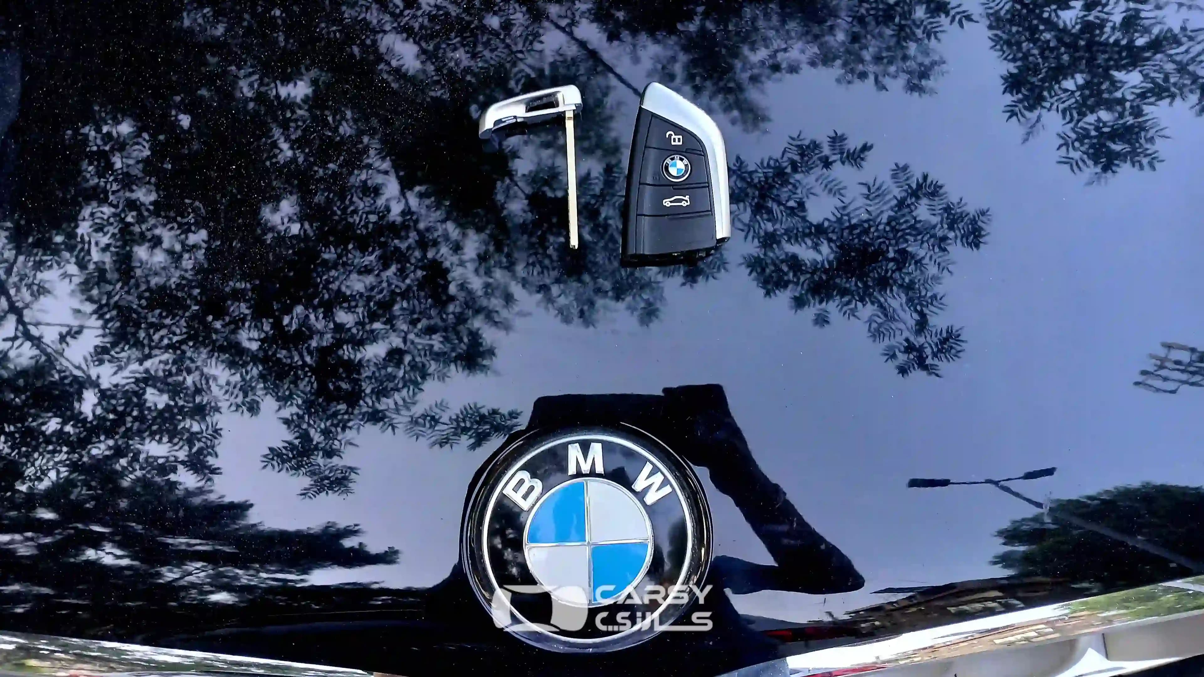 2016 بي إم دبليو X5 - Image 2